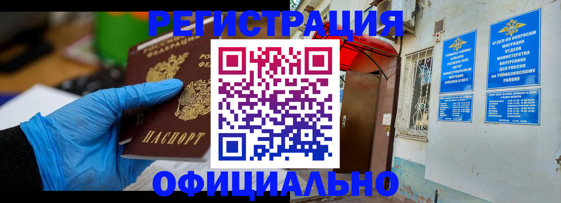 прописка в Сольцах